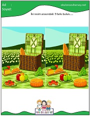 okul öncesi İki Resim Arasındaki Farkı Bul